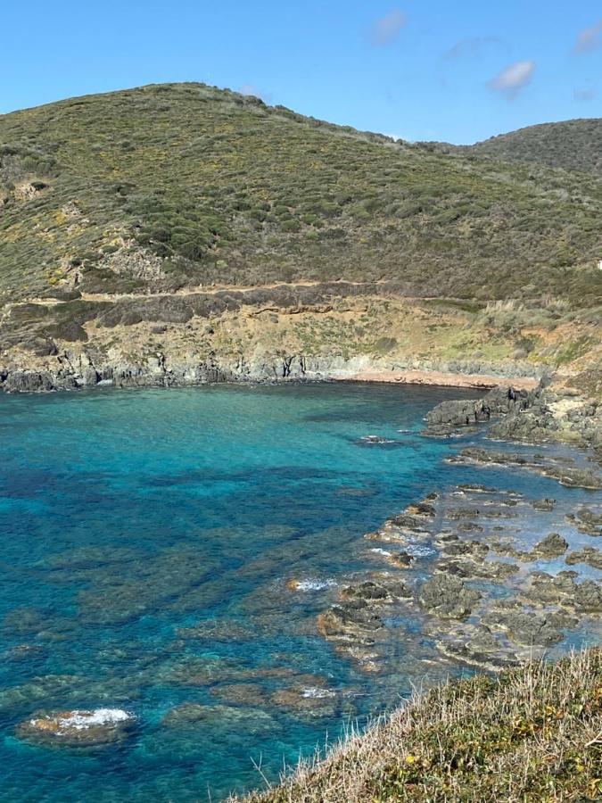 Ajaccio * Ajaccio (Corsica)
